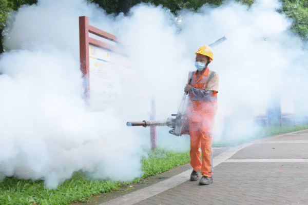 China tenta conter surto de chikungunya