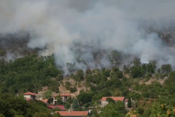 Onda de calor atinge Europa e provoca incêndios nos Bálcãs