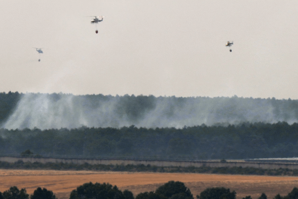 Espanha combate mais de 20 focos de incêndio; devastação bate recorde em 2025