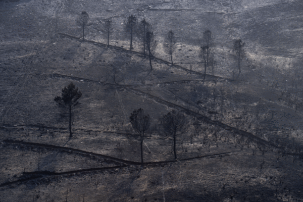 Ventos dificultam combate aos 21 focos ativos de incêndio na Espanha