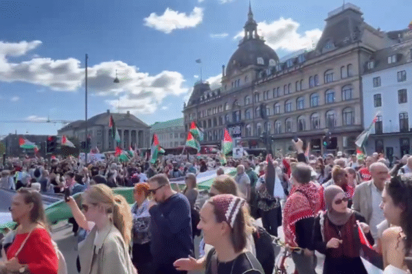 Mais de dez mil pessoas participam de manifestação pró-palestinos na Dinamarca