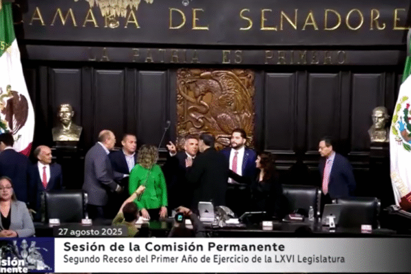 Senadores partem para agressão física em sessão no México