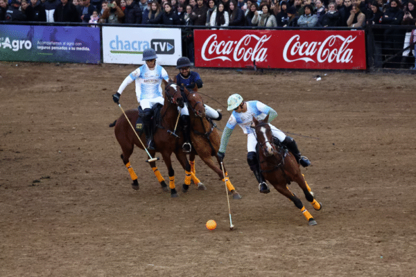 Os primeiros cavalos geneticamente modificados do mundo estão revolucionando o esporte de polo