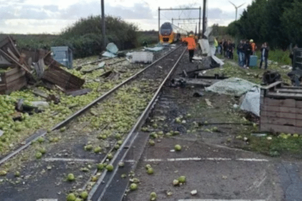 Holanda: Trem colide com caminhão carregado de peras e deixa feridos; moradores relatam susto no local