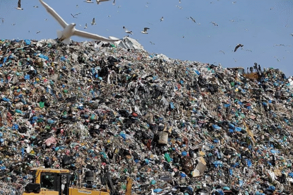 Relatório do Tribunal Europeu de Auditoria destaca apenas nove países da UE com sucesso na reciclagem de resíduos municipais